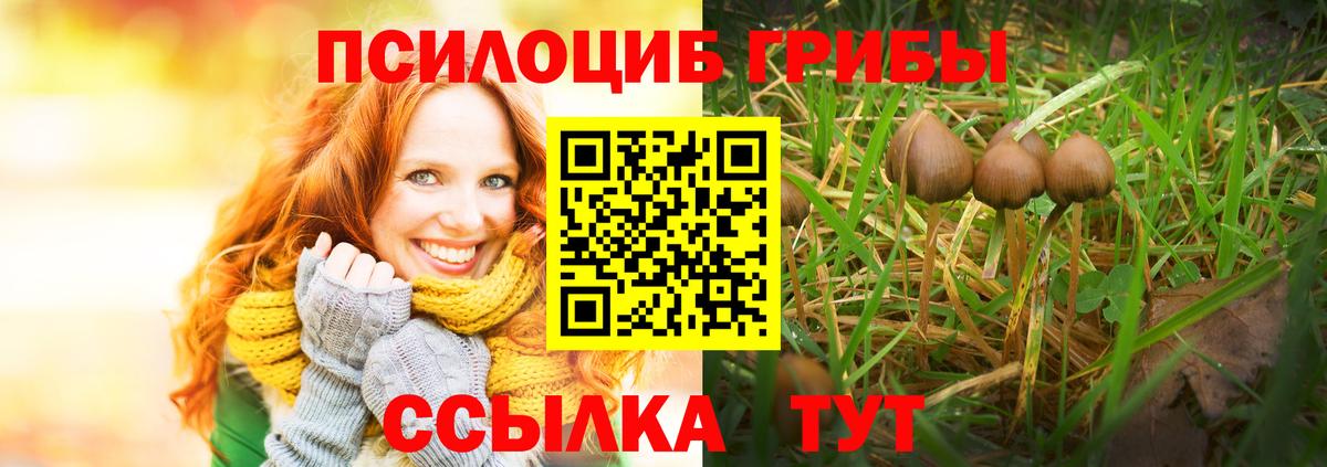 Сунжа  Галлюциногенные грибы Psilocybe  Псилоцибиновые грибы MAGIC MUSHROOMS  Вход с VPN 